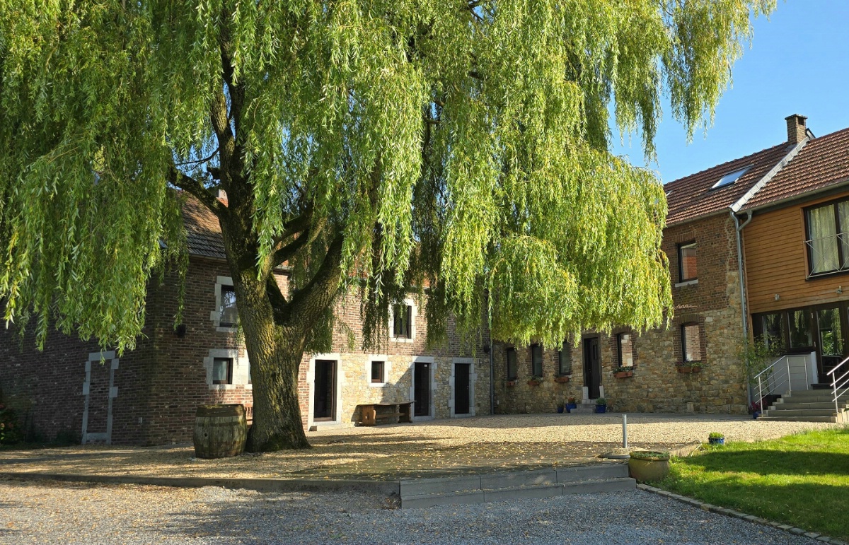 COSENBERG 27 by Deux-mains